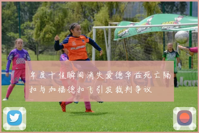 年度十佳瞬间消失爱德华兹死亡隔扣与加福德扣飞引发裁判争议