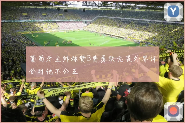 葡萄牙主帅称赞B费勇敢无畏外界评价对他不公正