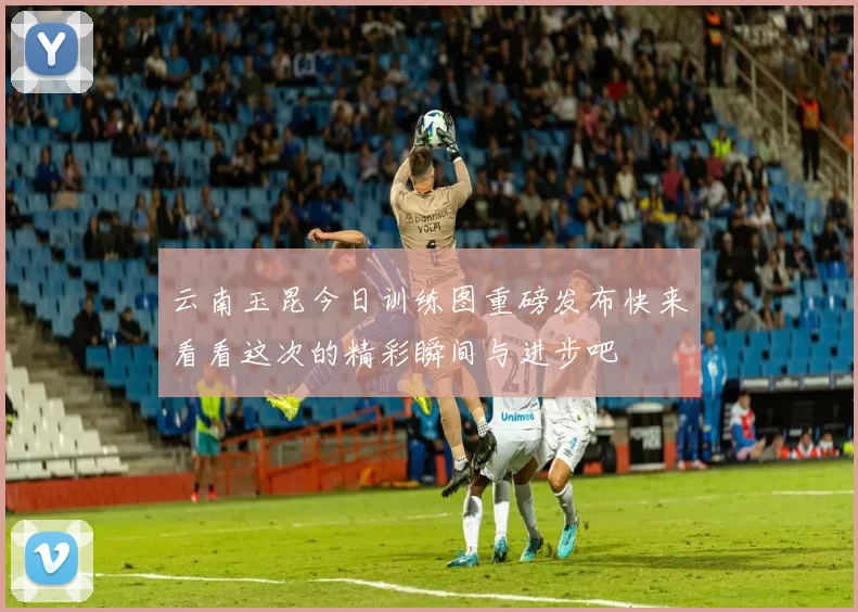 云南玉昆今日训练图重磅发布快来看看这次的精彩瞬间与进步吧